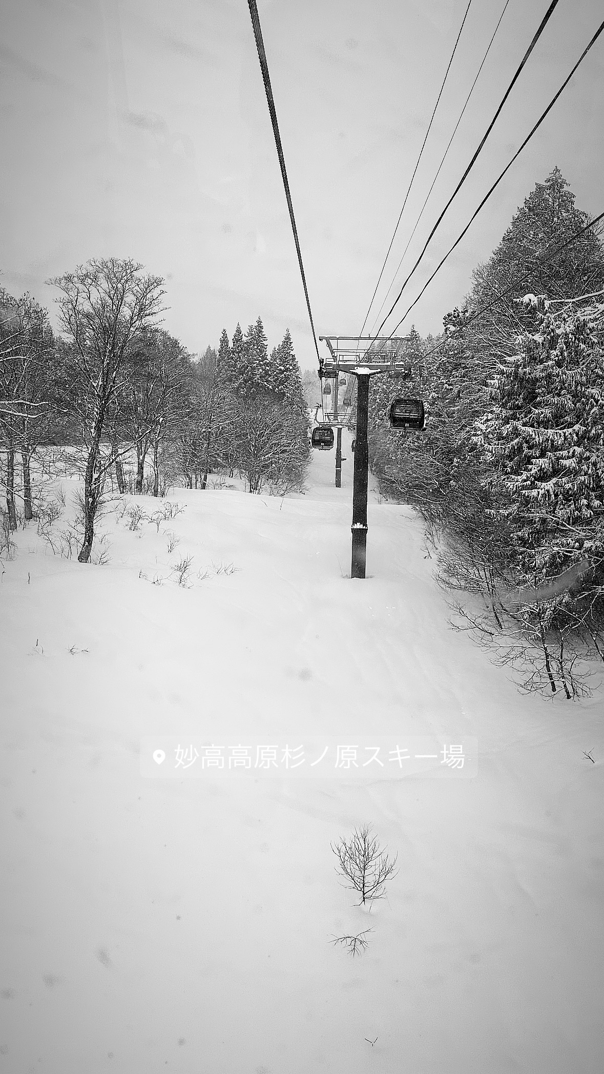 Image for post 1709339930