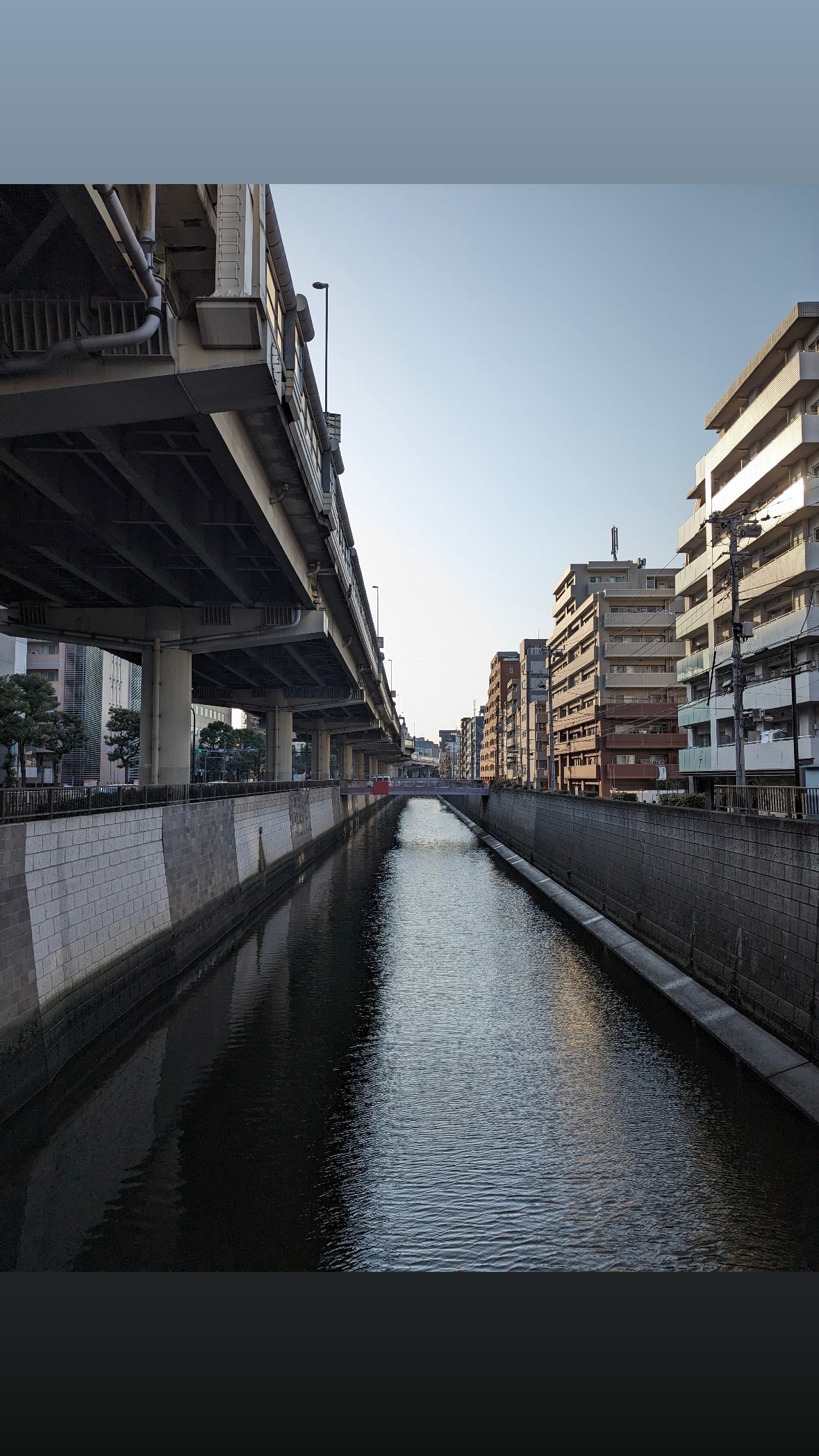 Image for post 1710591702
