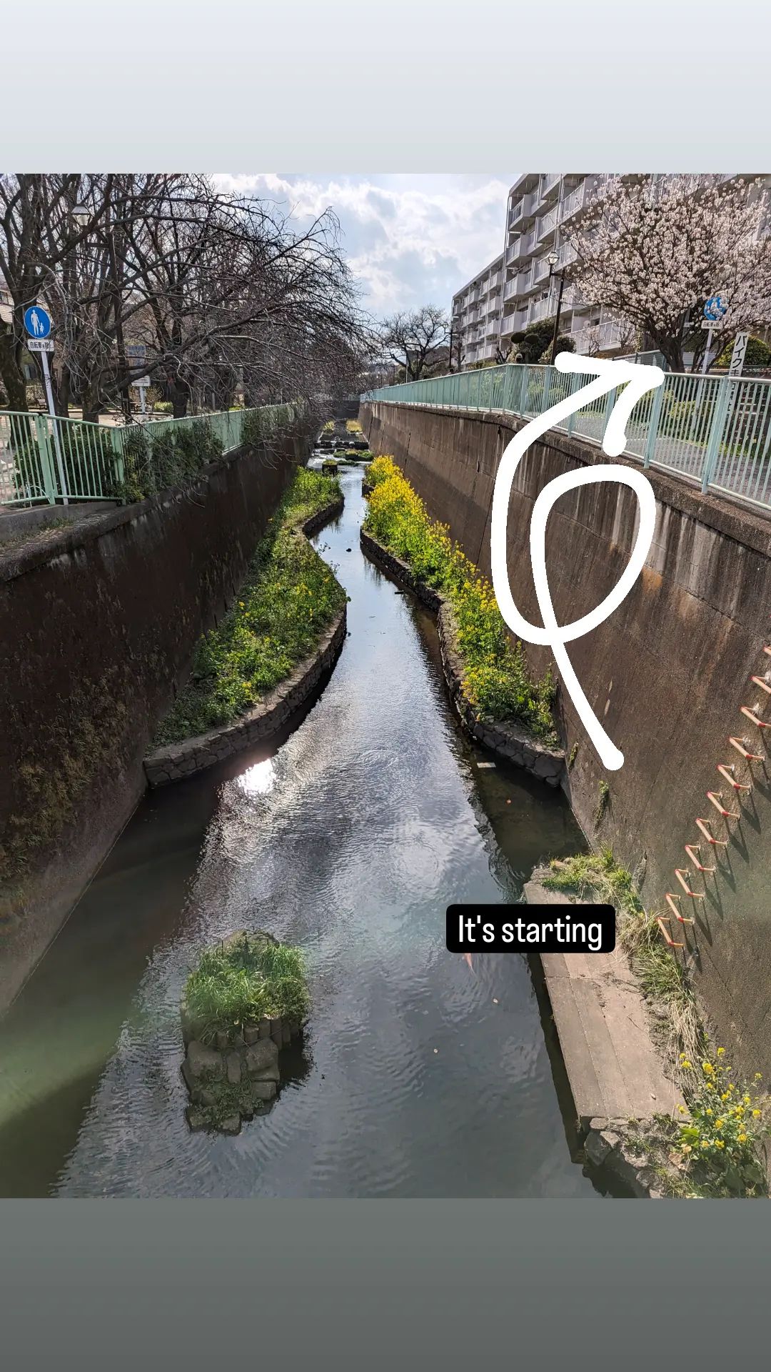 Image for post 1710881882