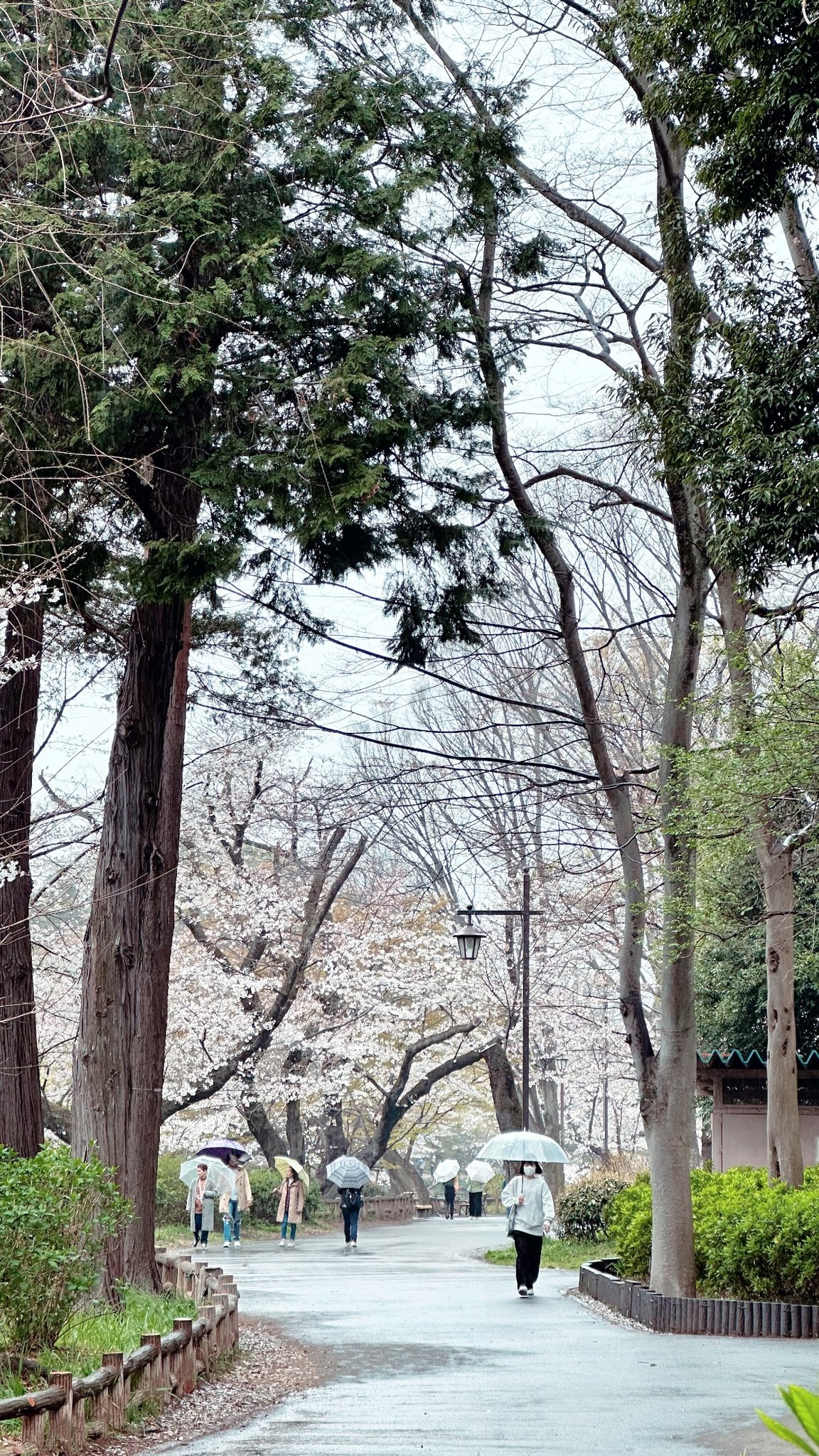 Image for post 1712183019