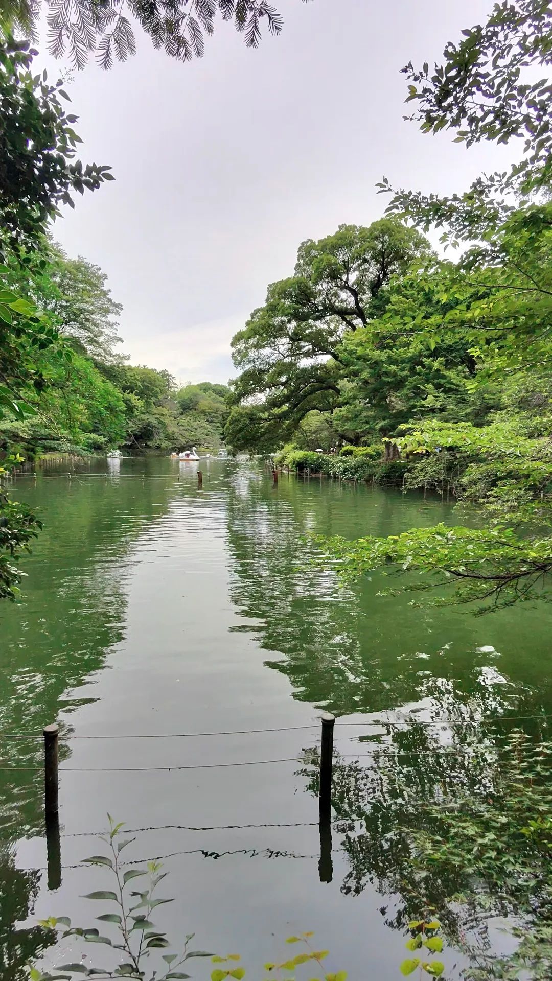 Image for post 1718498657