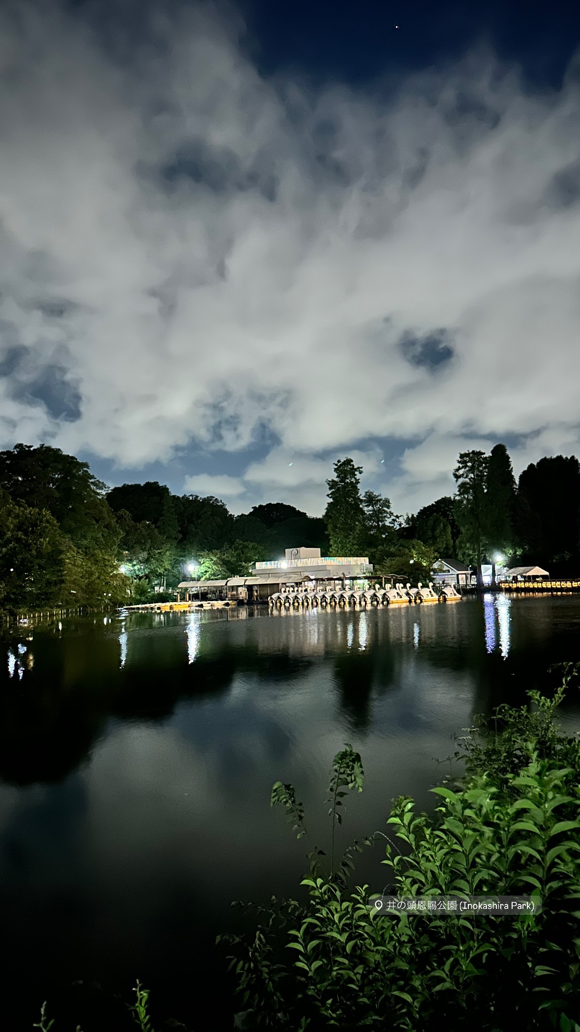 Image for post 1724414281
